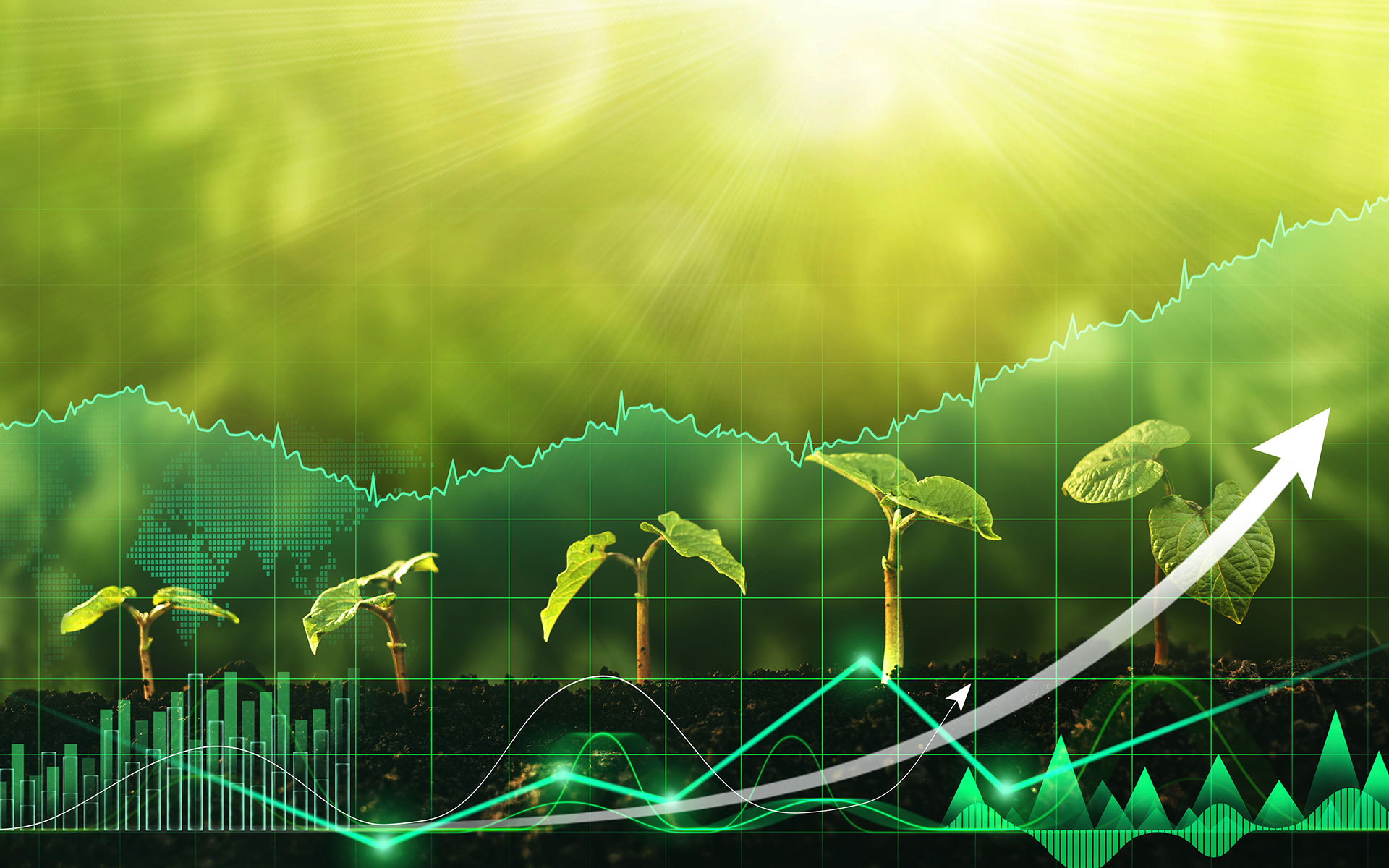 Key Sub-Sectors in Agriculture