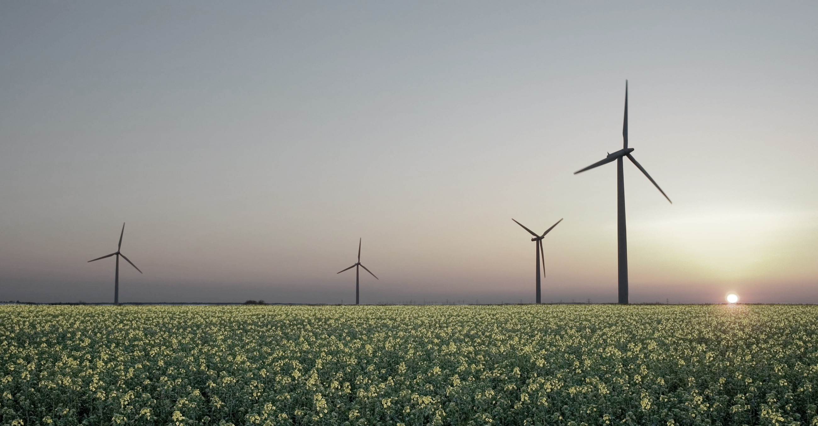 Key Sub-Sectors in Energy