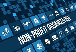 Key Sub-Sectors in Non-Profit