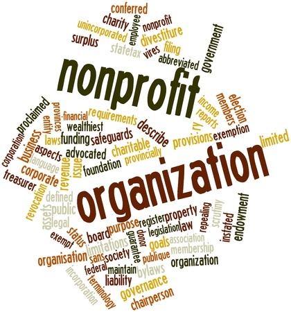 Key Sub-Sectors in Non-Profit