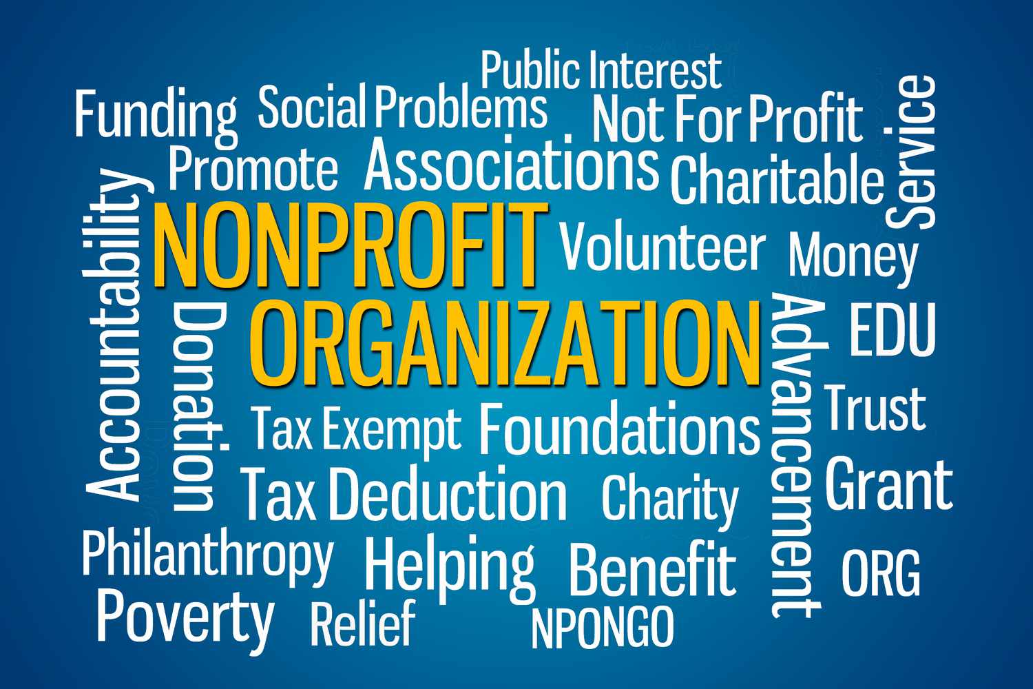 Key Sub-Sectors in Non-Profit